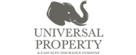 logo20